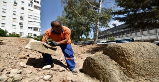 Meltemdeki Park Çalışmalarında Sona Gelindi