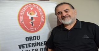 Orduda Köpeğe İşkence İddiası