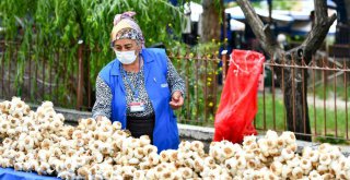 BAŞKENT'İN GÜÇLÜ KADINLARI