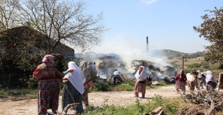 Çanda Çıkan Yangında Ev İle 80 Ton Saman Balyası Yandı