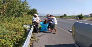 Su Samuru Karayolunda Ezilerek Telef Oldu