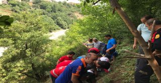 Meyve Toplamak İçin Çıktığı Ağaçtan Düşen Vatandaş Hastaneye Kaldırıldı