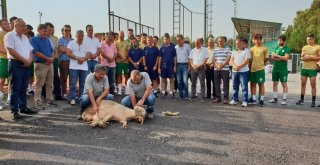 Altınova Belediyespor Top Başı Yaptı