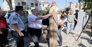 Kktcde Kazıklı Protesto