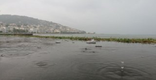 Ordu, Yağmur Öncesi Karanlığa Büründü