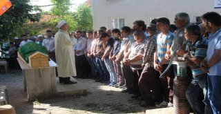 Üzerine Ağaç Düşmesi Sonucu Hayatını Kaybeden İşçi, Toprağa Verildi