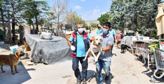 BAŞKAN YAVAŞ İNCİ ANNE'NİN ÇAĞRISINA KULAK VERDİ