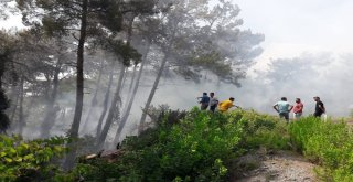 Hatayda Orman Yangını