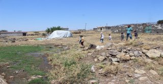 (Özel) 142 Seçmenli Mahallenin Sakinleri Belediyeye Tepki Yüzünden Sandığa Gitmedi