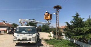 Yaralı Yavru Leylek Tedavi Altına Alındı