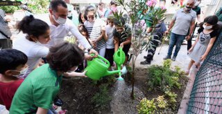 Beyoğlu Mahalle Bahçeleri'ne Bir Bir Kavuşuyor