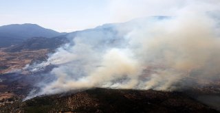 Yangın, Tarım Arazisinde Başlayıp Ormana Sıçradı