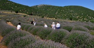 Turizm Profesyonelleri Isparta Ve Burduru Keşfetti