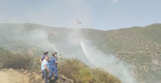 İzmirdeki Yangında Vatandaşlarda Seferber Oldu