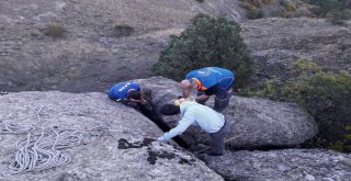 Kayanın Arasına Sıkışan Yavru Keçi 2 Saatlik Operasyonla Kurtarıldı