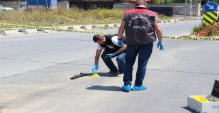 Mezarlıkta Pompalı Tüfekle Dehşet Saçtı