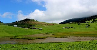 Türkiyede Huzurun Adresi; Karadeniz Yaylaları