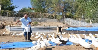 Hobi Olarak Başlamışlardı, Şimdi Taleplere Yetişemiyorlar