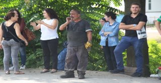 İşçilerin Sahiplendiği Köpek, Atık Fabrikasında Çıkan Yangında Tahliye Görevlisi Gibi Çalıştı