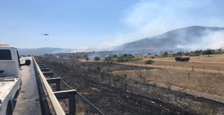 Canını Zor Kurtardı, Aracını Ve Makilik Alanın Yanışını Çaresizce İzledi