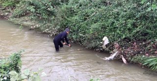 Dereye Uçan Otomobil Sürücüsü Turgut Aydın Aranıyor