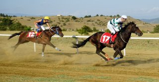 Taşköprüde Düzenlenen At Yarışları Nefesleri Kesti