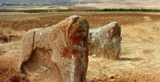 Ziyaretçilerin Yol Tepkisi