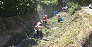 Bozüyük Parklarında Çalışmalar Hız Kesmiyor