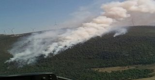 Somada Orman Yangını