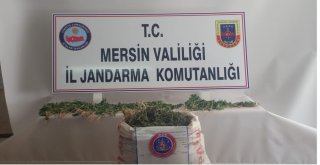 Mersinde 43 Kilo Esrar Ele Geçirildi