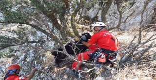 60 Metre Yükseklikte Keçi Kurtarma Operasyonu