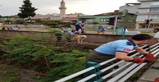 Dereye Düşen Köpek İçin Seferber Oldular