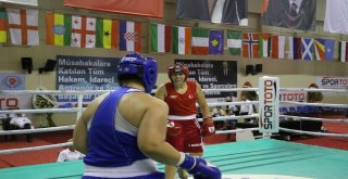 Ahmet Cömert Boks Turnuvasında Yarı Final Müsabakaları Sona Erdi