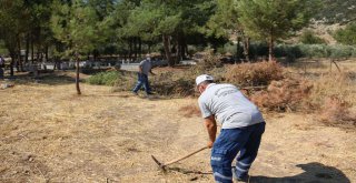 İLÇELERDE MEZARLIK BAKIMLARI SÜRÜYOR