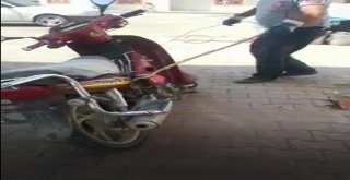 Motosiklete Giren Yılan İtfaiye Ekiplerini Uğraştırdı