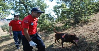 Minik Evrimi Arama Çalışmalarına Kadavra Köpeği Katıldı