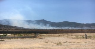 Alev Alan Araç Makilik Alanı Yaktı, Ekiplerin Müdahalesi Sürüyor