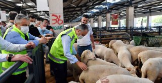 Başkan Aktaş'dan modern Kurban Pazarı'na ziyaret