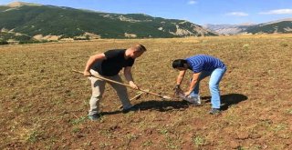 Bingölün Toprak Haritası İçin 280 Numune Alındı