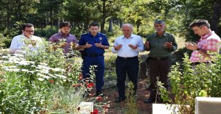 Dursunbeyde Şehit Kabirleri Ziyaret Edildi