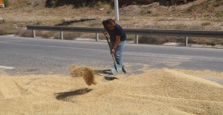 Tır Devrildi, Tonlarca Arpa Karayoluna Saçıldı