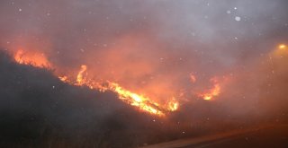 Adıyamanda Korkutan Bahçe Yangını