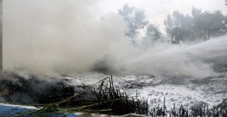 Kuş Cennetinde Korkutan Yangın