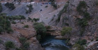 Pikniğe Gelen Ailenin Acı Sonu