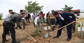 Muşta 15 Temmuz Demokrasi Ve Milli Birlik Günü