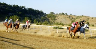 Taşköprüde Düzenlenen At Yarışları Nefesleri Kesti