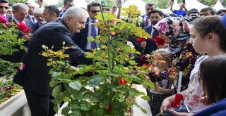 Tbmm Başkanı Yıldırım: “Şehitlerimiz Bu Ülkenin Teminatıdır”