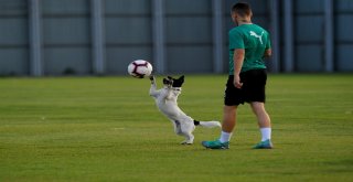 Samet Aybaba: “Beşiktaş Maçı Zorlu Olacak”