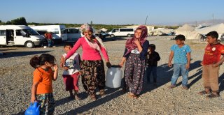 Kayısı Hasadında Çalışan Mevsimlik İşçilerin Çilesi