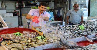 Rizede Tezgahlarda Balık Bolluğu